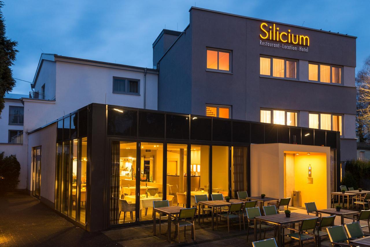 Hotel Silicium Höhr-Grenzhausen Dış mekan fotoğraf